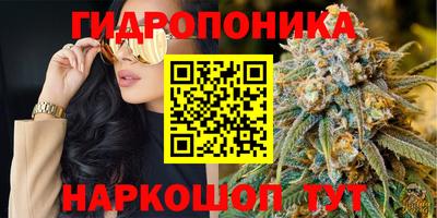 меф Ачхой-Мартан