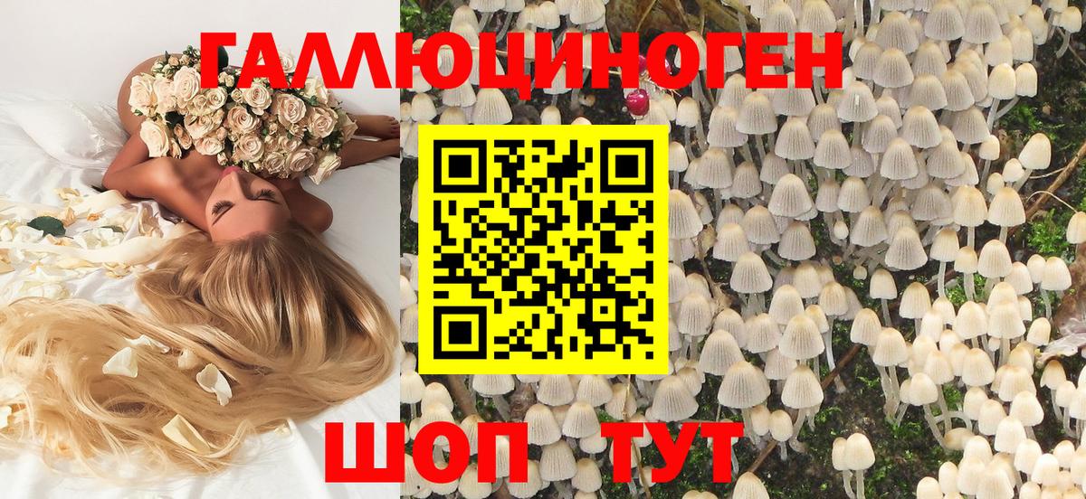 Псилоцибиновые грибы MAGIC MUSHROOMS  Вход с VPN  Асбест 